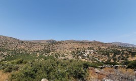 Terrain 2900 m² en Crète