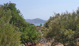 Land 2500 m² auf Kreta