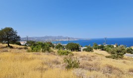 Land 12765 m² in Crete
