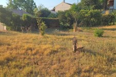 Property 48520 photo 17