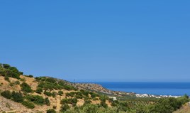 أرض 2600 m² في جزيرة كريت