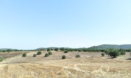 Zemljište 12000 m² na Kasandri (Halkidiki)