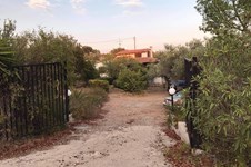 Property 48652 photo 7