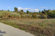 Property 48812 photo 1