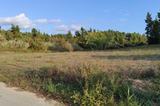 Property 48813 photo 2