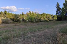 Property 48814 photo 2