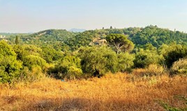Γη 21000 μ² στην Κέρκυρα