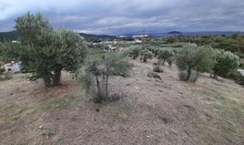 Terrain 4800 m² à Sithonia (Chalcidique)