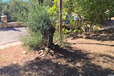 Property 48887 photo 17