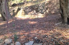 Property 48887 photo 16