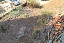 Property 48887 photo 25