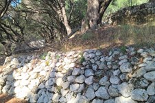 Property 48887 photo 10