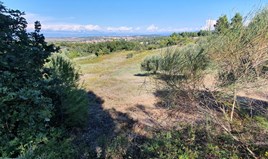 Land 6800 m² auf Kassandra (Chalkidiki)