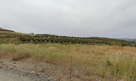 Terrain 391200 m² en Crète
