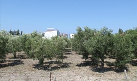 Zemljište 1000 m² na Sitoniji (Halkidiki)