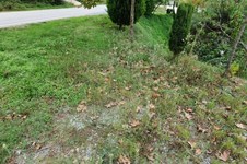 Property 49024 photo 4