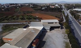 Business 480 m² in Chalkidiki