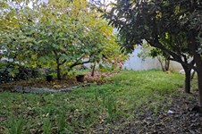 Property 49164 photo 2