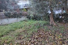 Property 49164 photo 4