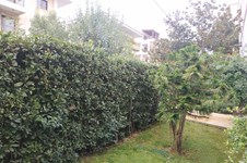 Property 49181 photo 14