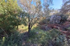 Property 4941 photo 11