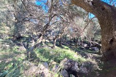 Property 4941 photo 14