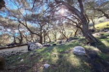 Property 4941 photo 16