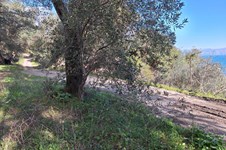 Property 4941 photo 19