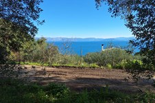 Property 4941 photo 21