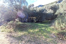 Property 4941 photo 18