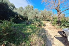 Property 4941 photo 23