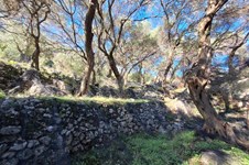 Property 4941 photo 15