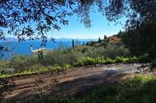 Property 4941 photo 20