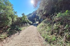 Property 4941 photo 24