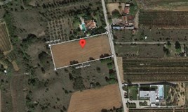 Land 4800 m² in the suburbs of Thessaloniki