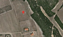 Land 4039 m² in Chalkidiki