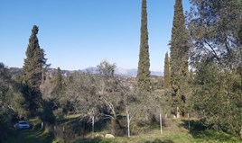 Land 7000 m² in Corfu