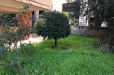 Property 49539 photo 28