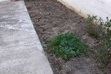 Property 49567 photo 12