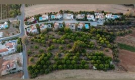 Land 10034 m² in Paphos