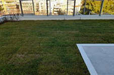 Property 49608 photo 15