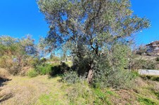 Property 49617 photo 2