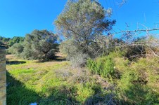 Property 49617 photo 1