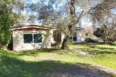 Property 49677 photo 2