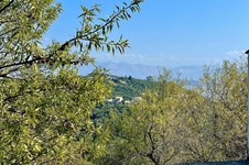 Property 49701 photo 23