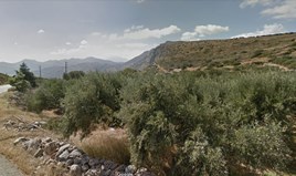 Land 3137 m² in Crete