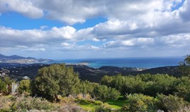 Land 4790 m² auf Kreta