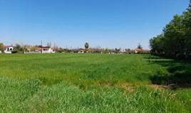 Land 8250 m² in Chalkidiki