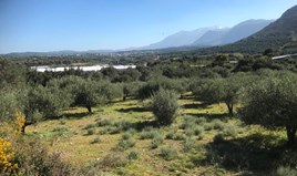 Land 12400 m² auf Kreta