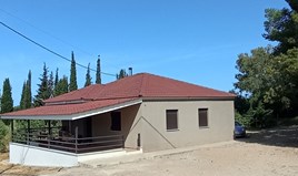 Arsa 12700 m² Batı Peloponez’te